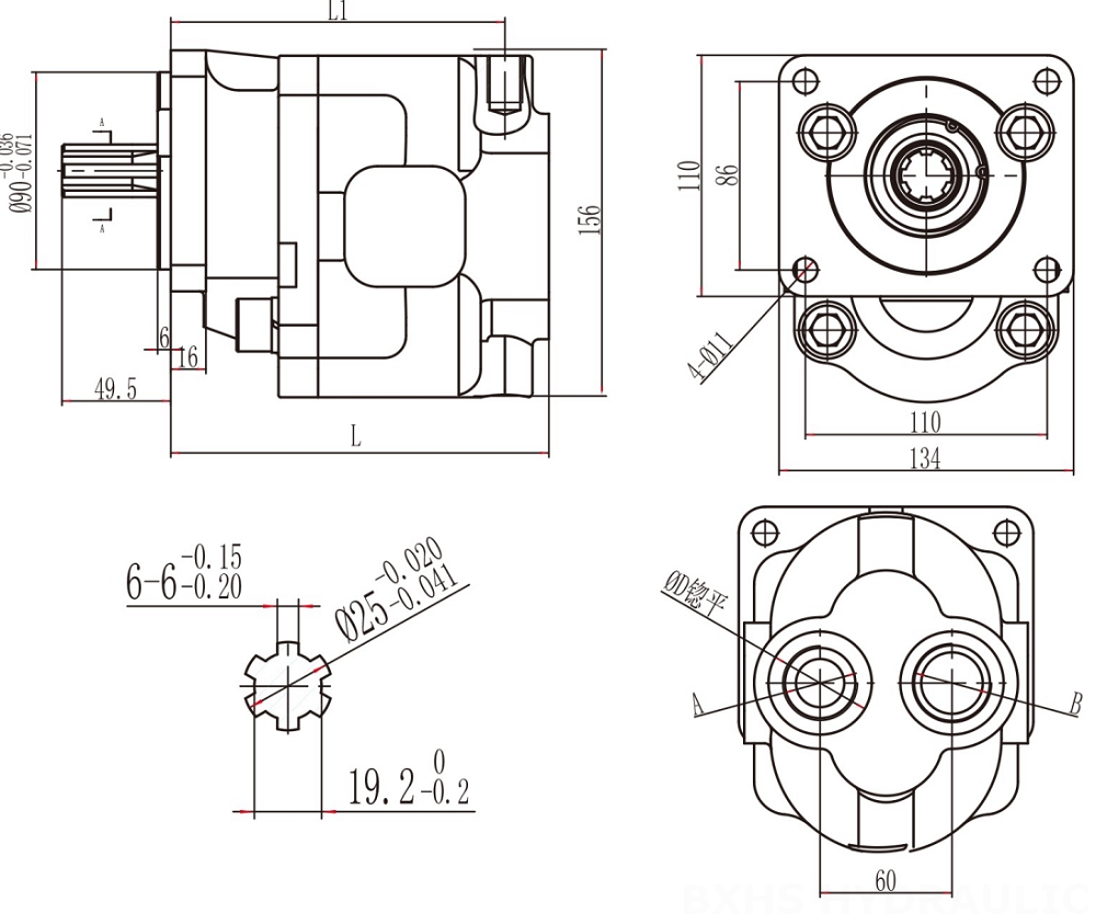 CBHS-F550 50 см³/об Гидравлический шестерёнчатый насос drawing image