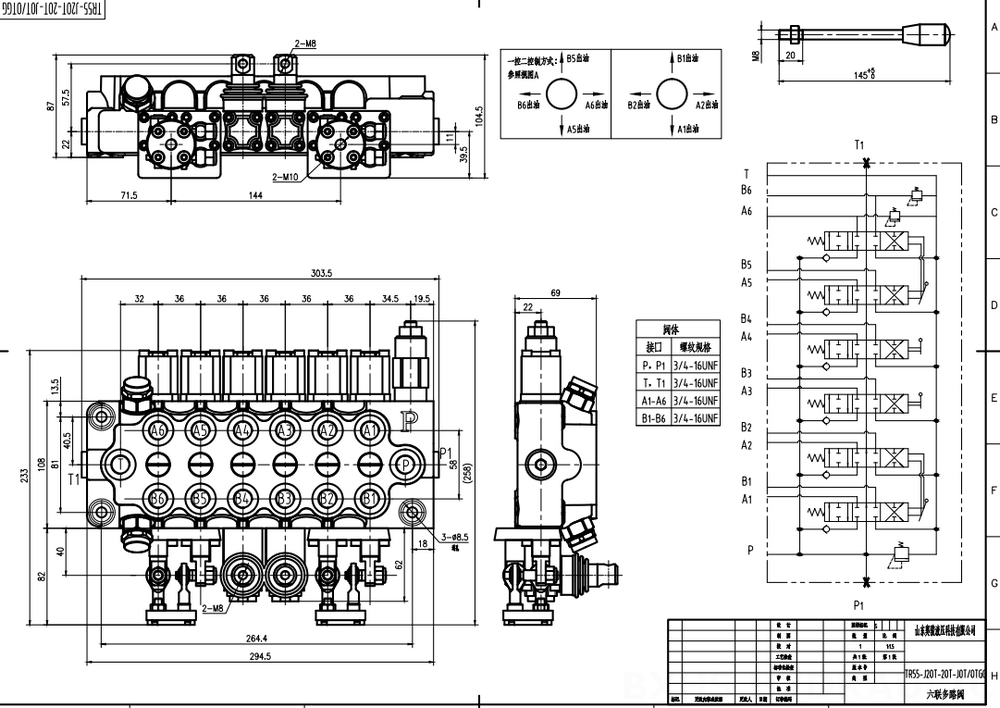 TR55 Ручной и джойстиковый 6 катушек Моноблочный направляющий клапан drawing image