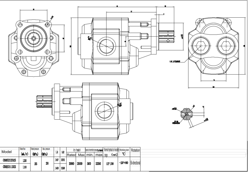 CBHST1-ISO-110 110 см³/об Гидравлический шестерёнчатый насос drawing image