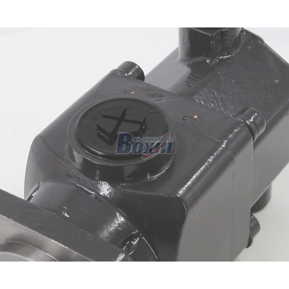 Reliable B6-50 50cc Hydraulic Pump for Machinery detail image
