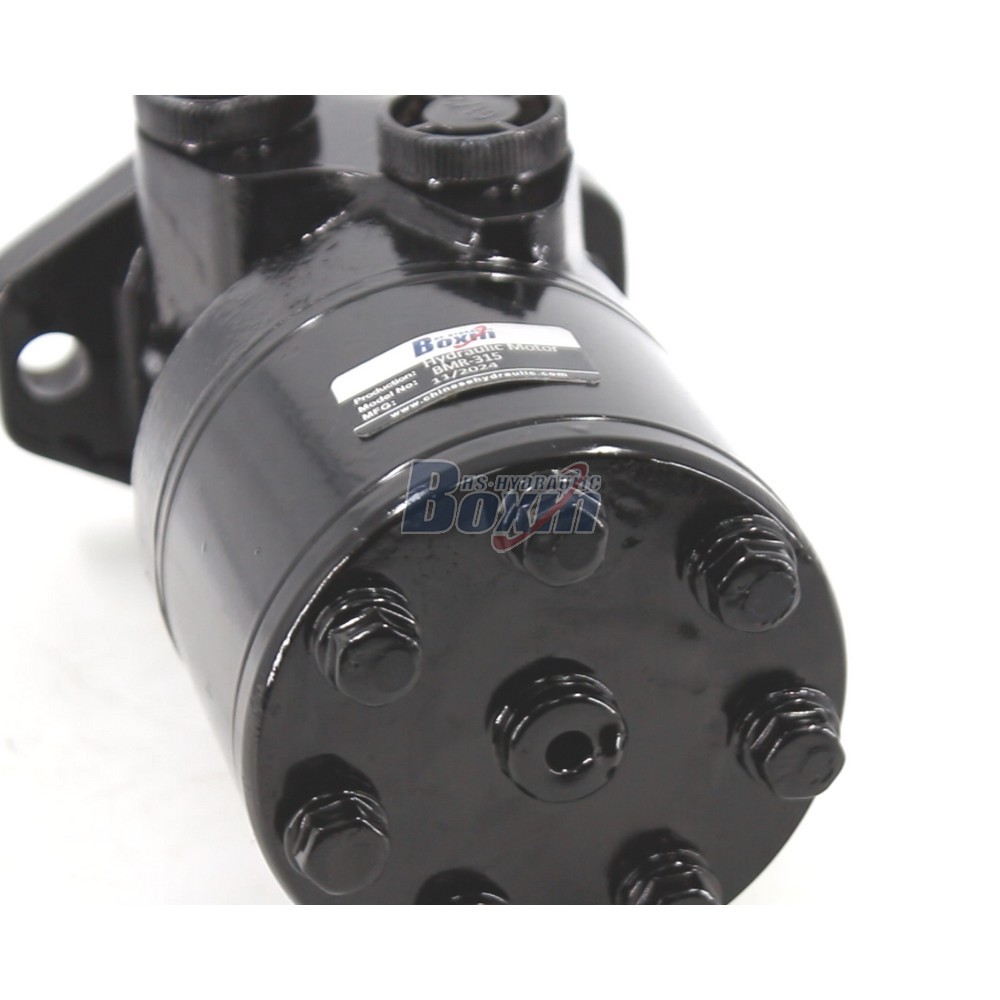 BMR-315 Hydraulic Motor Supply Chain Partnership Opportunities for Traders detail image