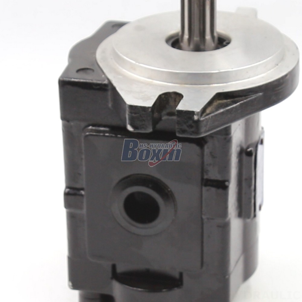 Industrial Hydraulic Gear Pump | Factory Direct & Customizable detail image