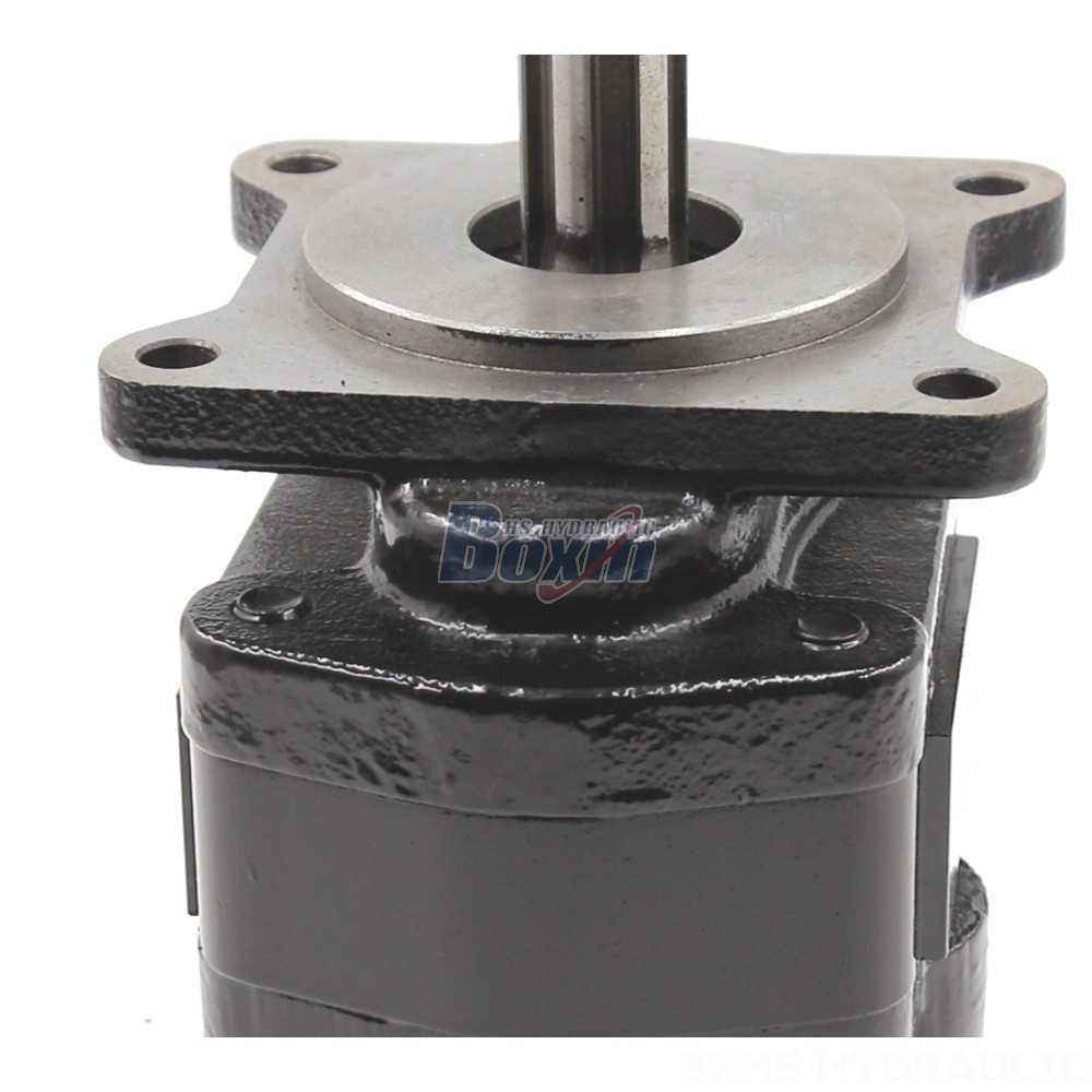 Heavy Duty Hydraulic Gear Pump | 20 cc/rev | Customized Solutions detail image