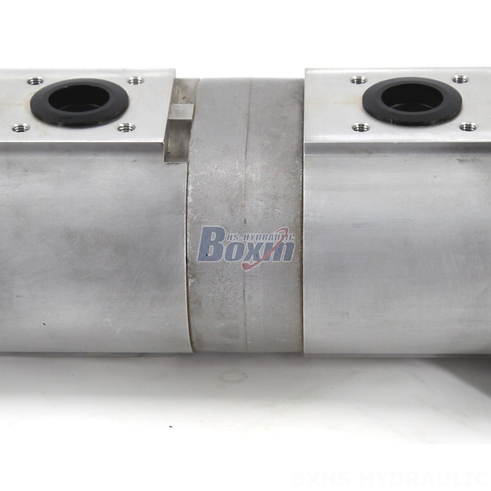 CBN-F540 Hydraulic Gear Pump: OEM & ODM Services Available detail image