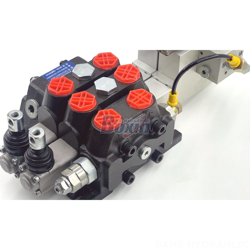 DCV100 Valves: Factory Wholesale Prices and Global Shipping detail image