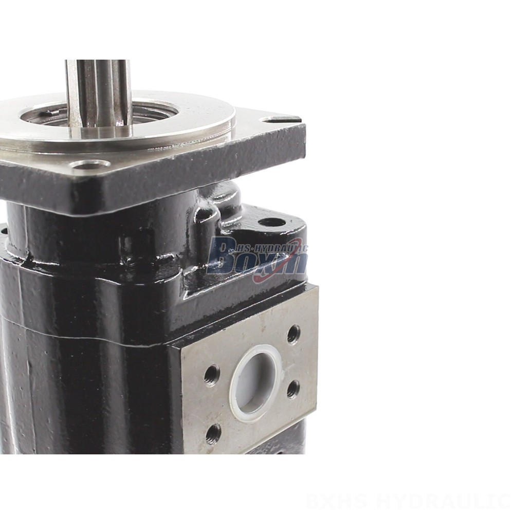 JHP2080-2080 Hydraulic Gear Pump: OEM & ODM Services Available detail image