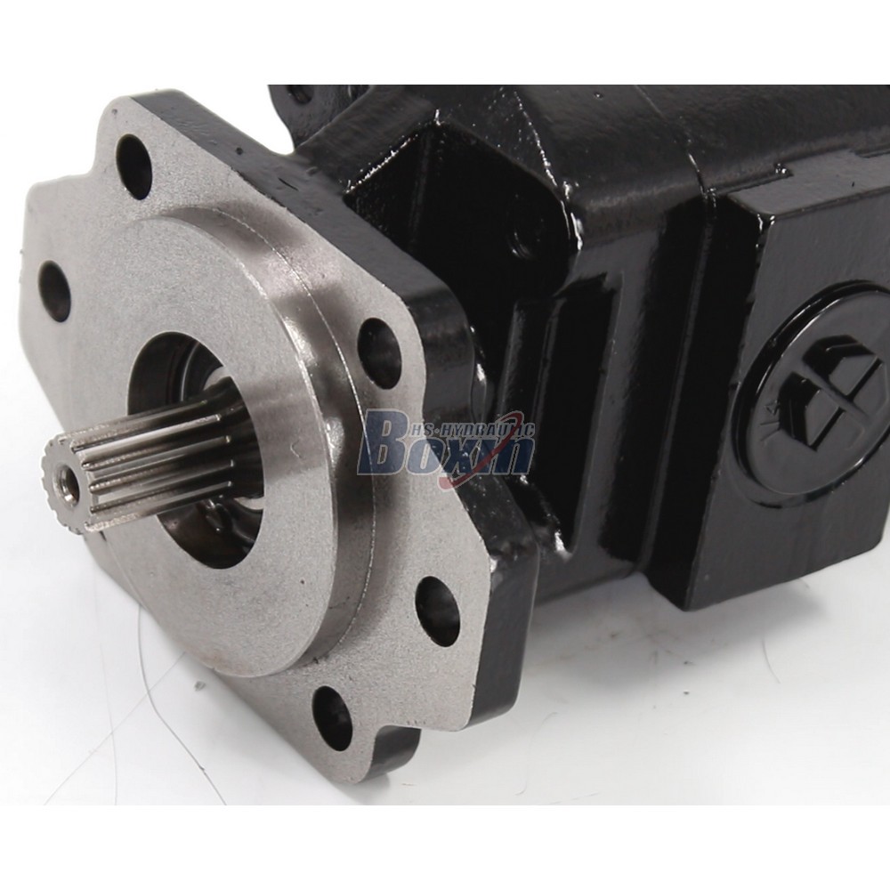OEM ODM Custom Service for P21A646JEAL20-25 64.6 cc/rev Hydraulic Gear Pump Manufacturing detail image