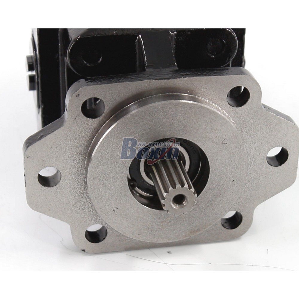 Global Partnership Opportunity for P21A646JEAL20-25 64.6 cc/rev Hydraulic Gear Pump Distribution detail image