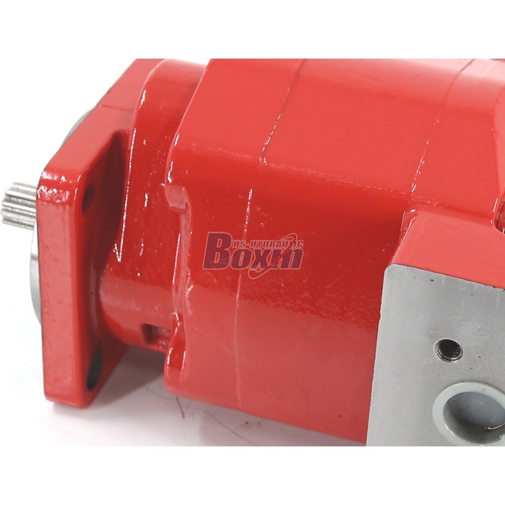 OEM ODM Custom Service for P350A542KEAB25-25R 104.5 cc/rev Hydraulic Gear Pump Manufacturing detail image