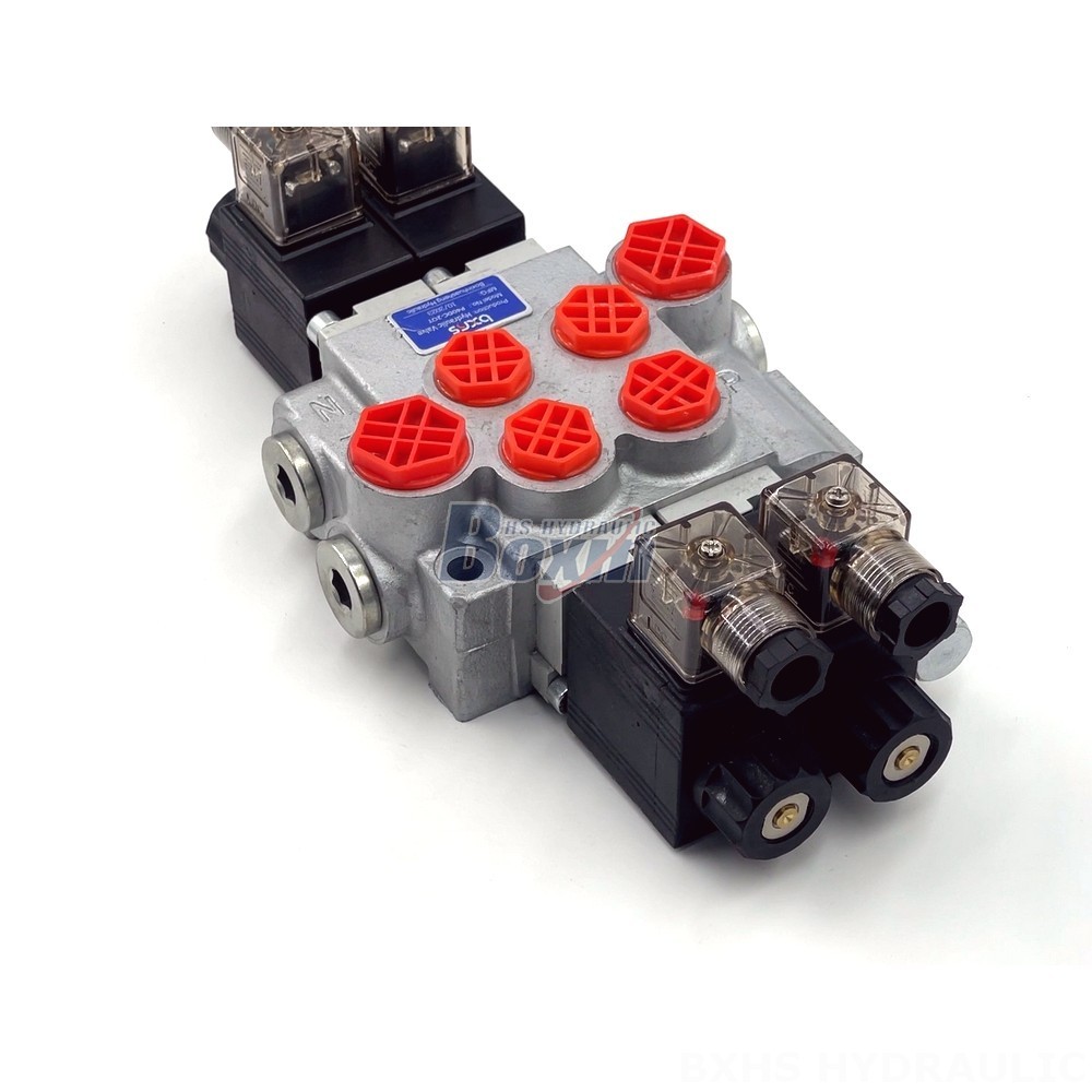 Hydraulic Valve OEM/ODM: P40-DKL Series for Tailored Solutions detail image