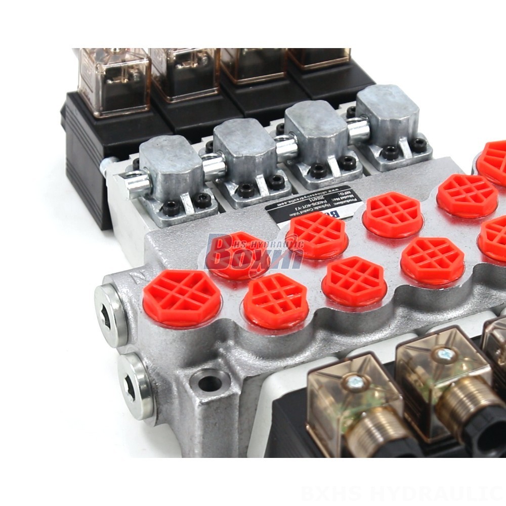 Partner with Us: P40-DS Monoblock Valve Manufacturing & Distribution Opportunities detail image
