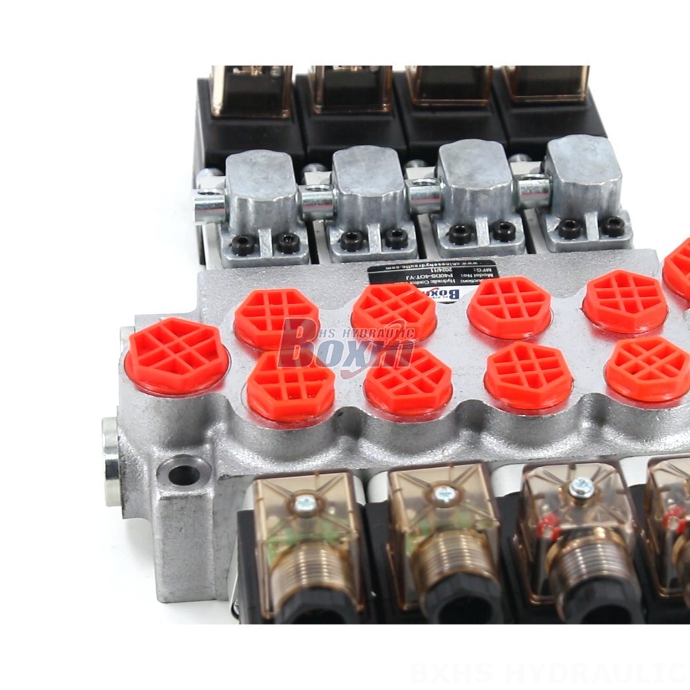 P40-DS Hydraulic Valve: Seeking Distributors & Wholesale Partners Worldwide detail image