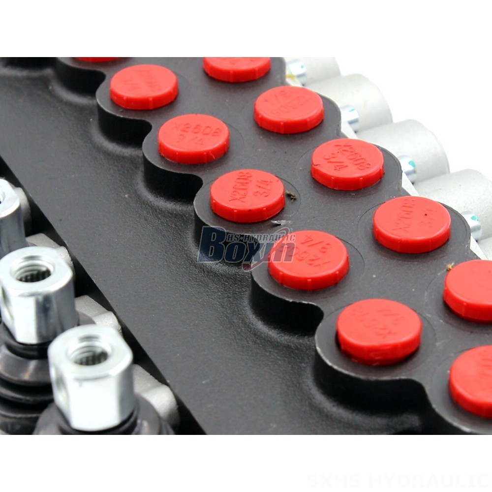 Manual Hydraulic Directional Valve P40-U34: Customizable & OEM Available detail image