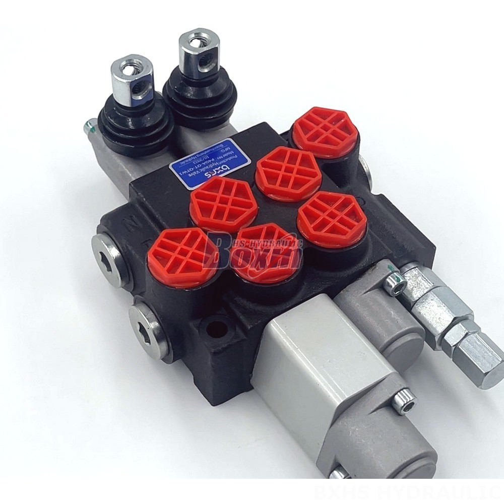 Customized Hydraulic Control: OEM & ODM Expertise for P40A Valves detail image