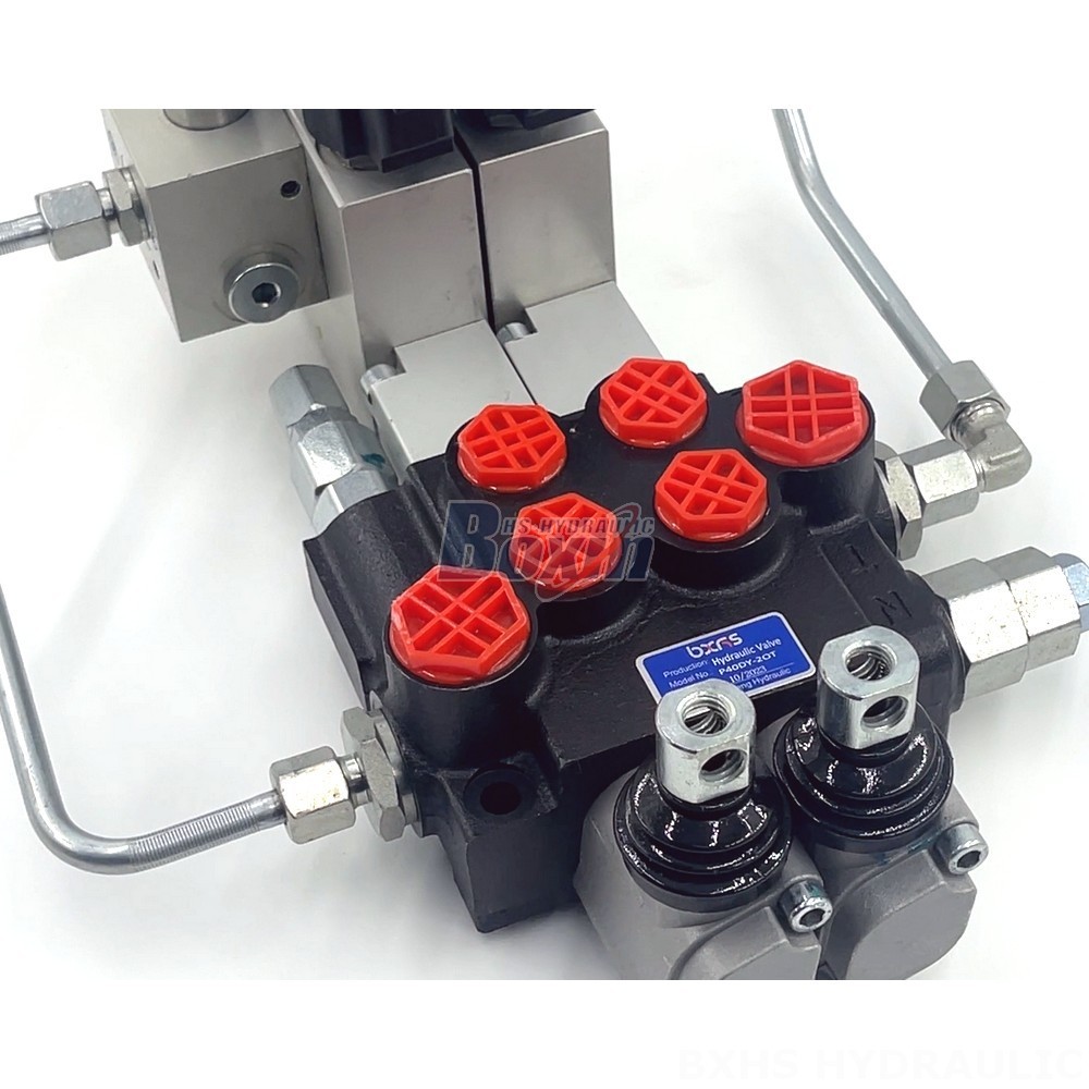 Design and Manufacture to Your Specifications: OEM and ODM for P40 Valves detail image