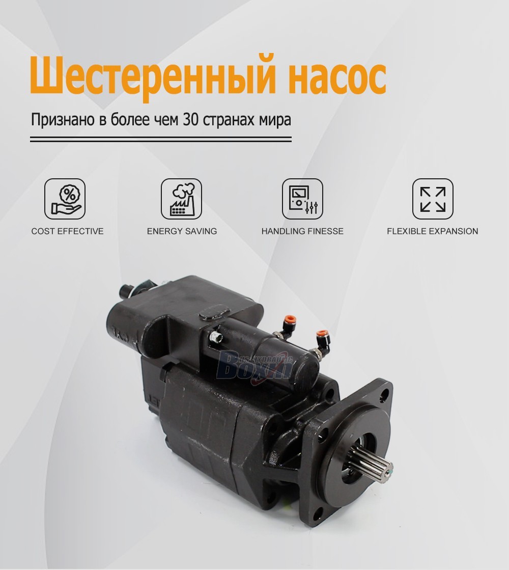 Custom OEM ODM Service for G102-AS 63 cc/rev Hydraulic Gear Pump with Private Labeling