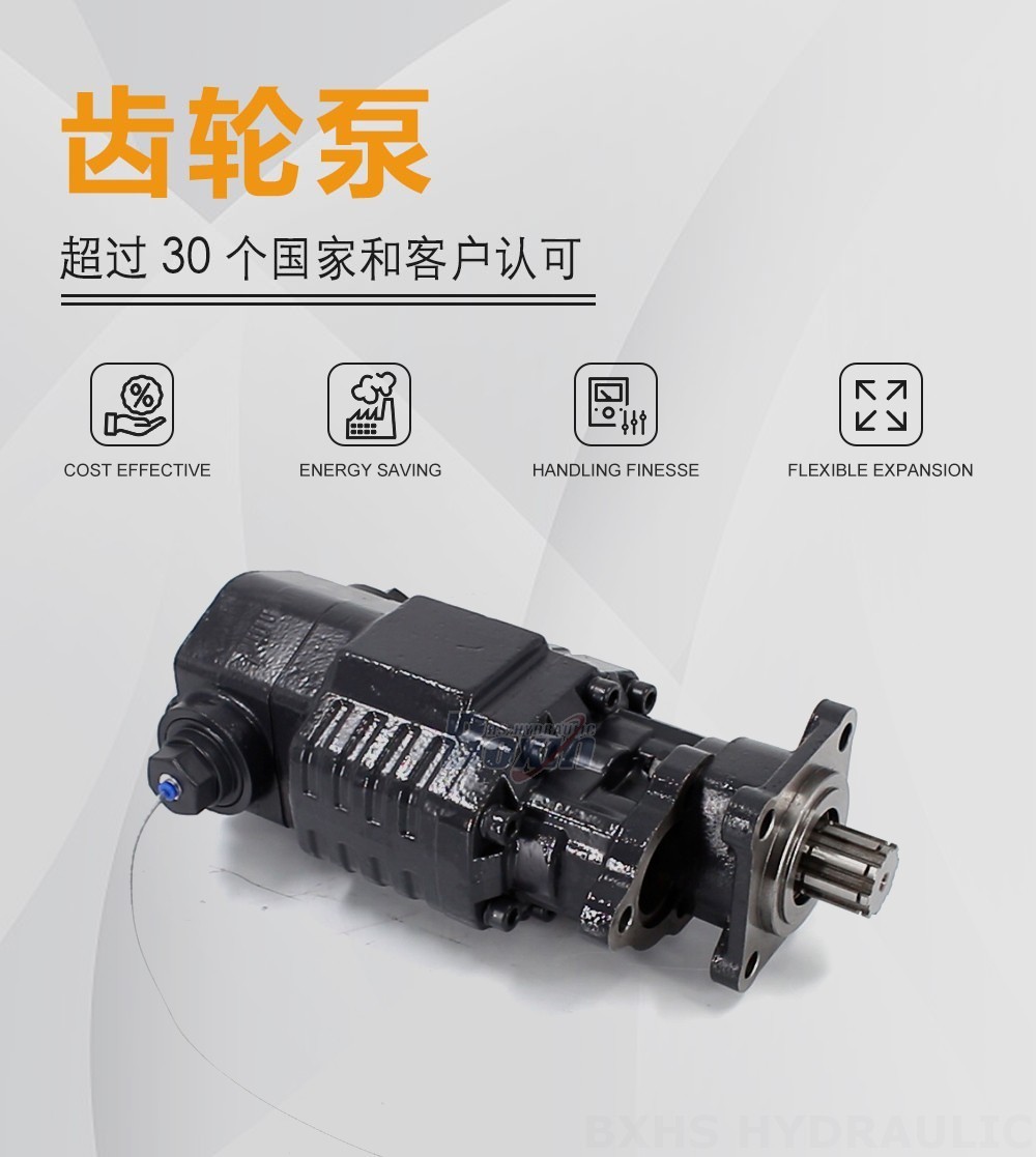 BF110A-ZF1 110 毫升/转 20 MPa (2900 psi) 液压齿轮泵