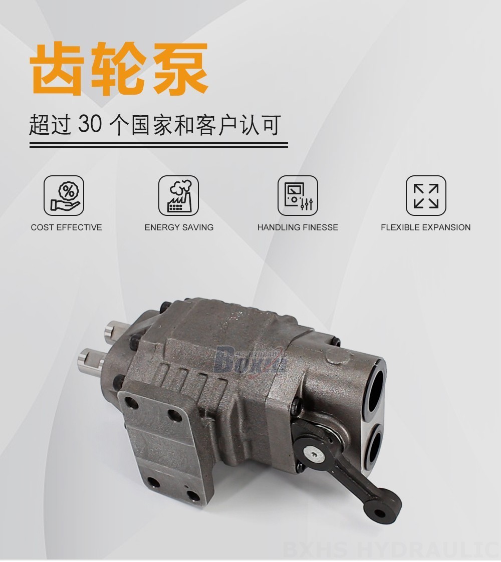 BF110M 110 毫升/转 20 MPa (2900 psi) 液压齿轮泵