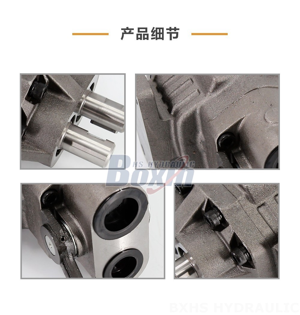 BF110M 110 毫升/转 20 MPa (2900 psi) 液压齿轮泵