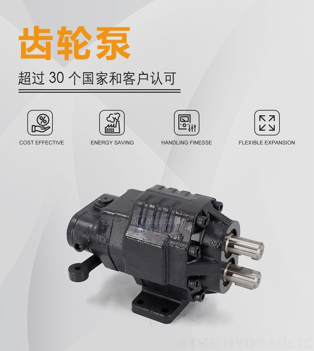 BF62M 63 毫升/转 20 MPa (2900 psi) 液压齿轮泵