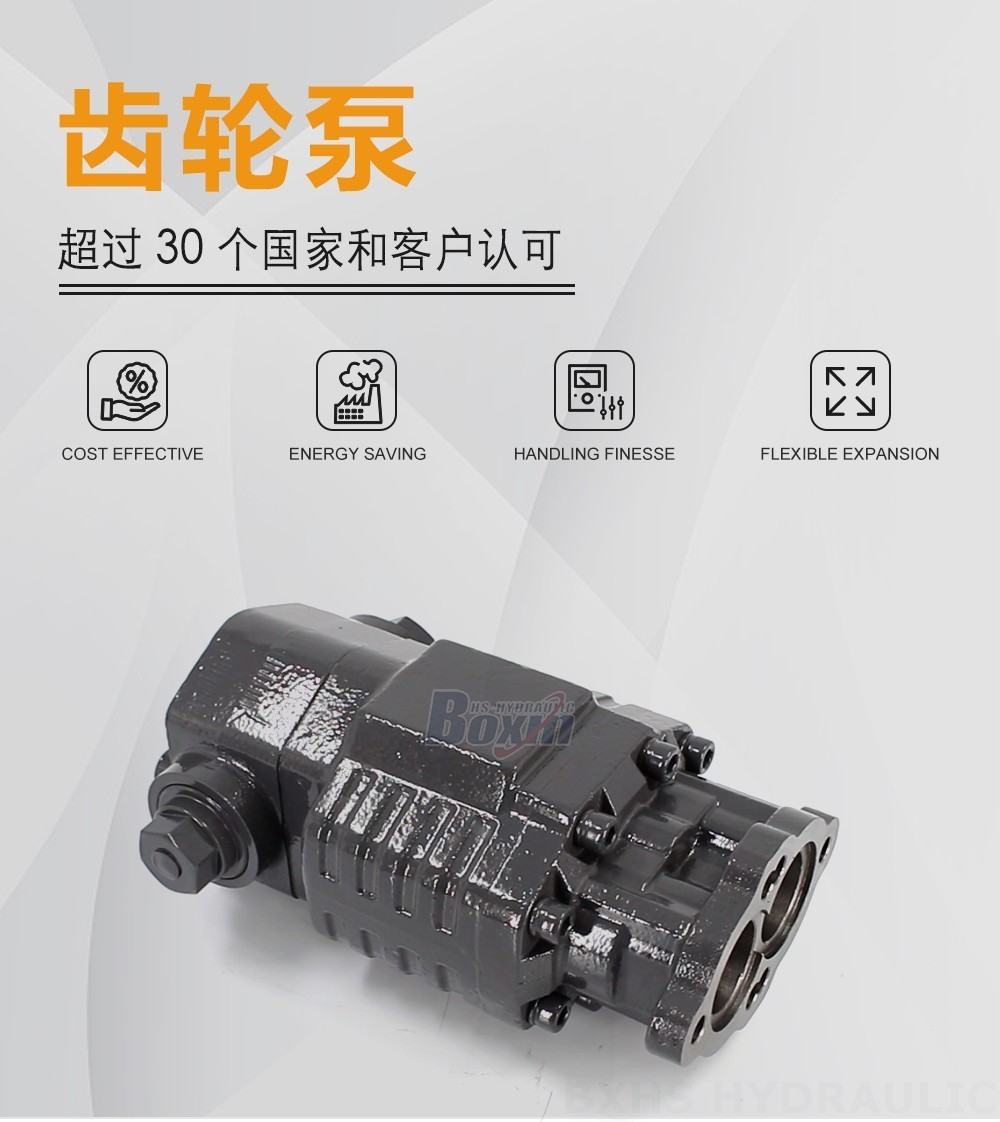 BF82A 80 毫升/转 20 MPa (2900 psi) 液压齿轮泵