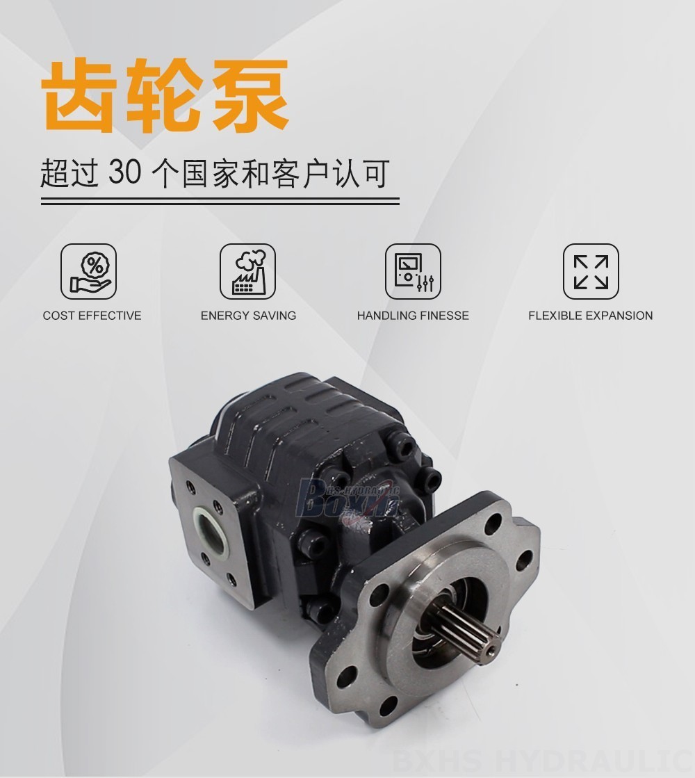CBHC-2080 80 毫升/转 20 MPa (2900 psi) 液压齿轮泵