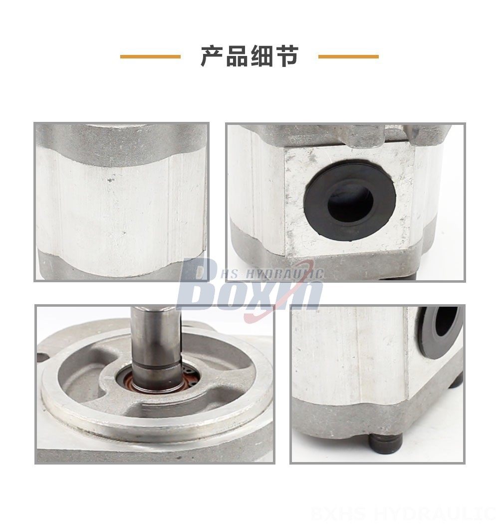 CBHS-FL-314 14 毫升/转 20 MPa (2900 psi) 液压齿轮泵
