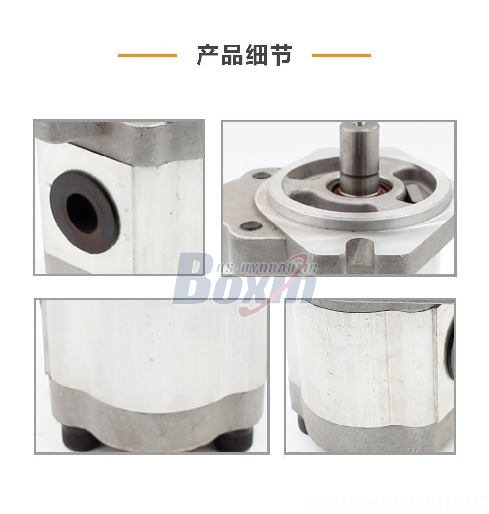 CBHS-FL-316 16 毫升/转 20 MPa (2900 psi) 液压齿轮泵