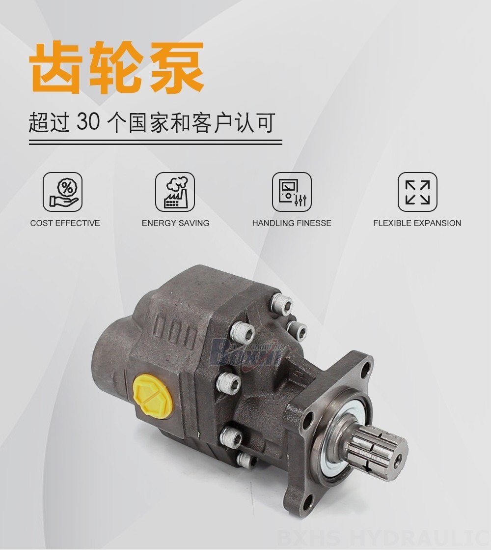 CBHW-ISO-100-Y 100 毫升/转 20 MPa (2900 psi) 液压齿轮泵