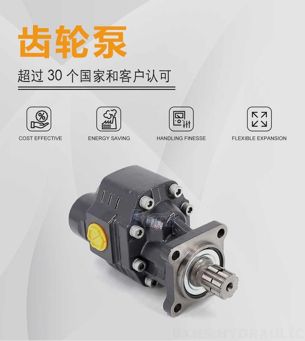 CBHW-ISO-80-H 80 毫升/转 20 MPa (2900 psi) 液压齿轮泵