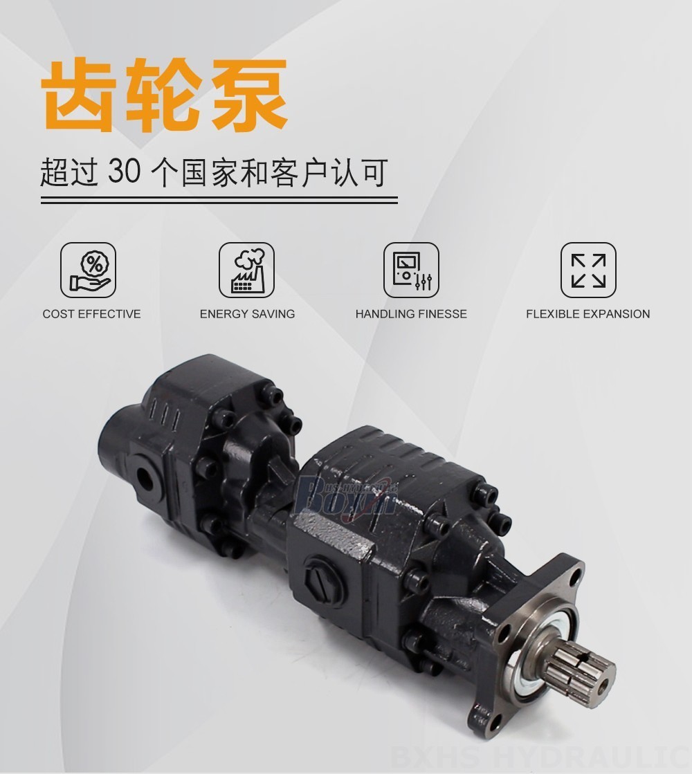 CBSL-2063-2040 63 毫升/转 20 MPa (2900 psi) 液压齿轮泵