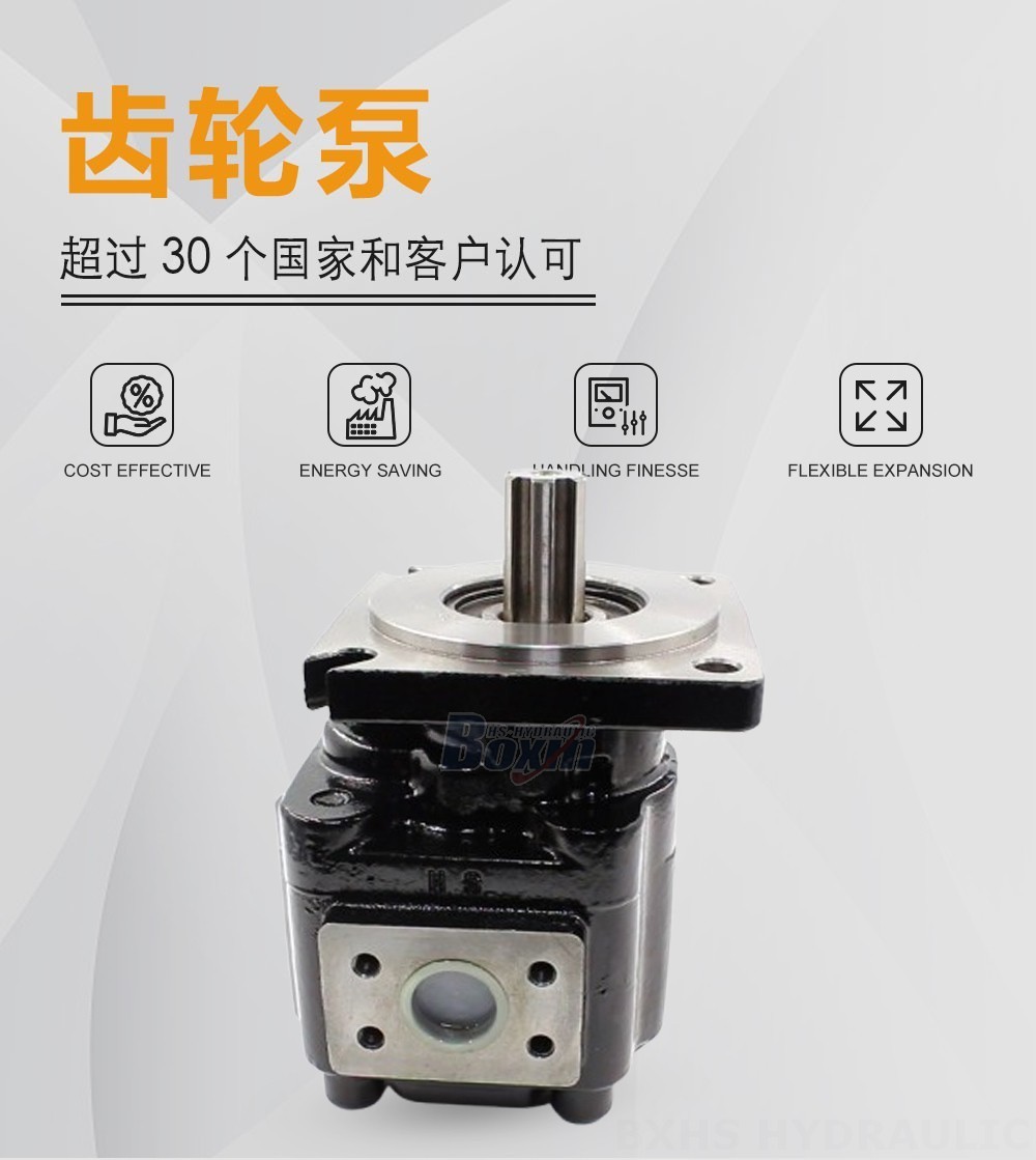 JHP2063 63 毫升/转 20 MPa (2900 psi) 液压齿轮泵