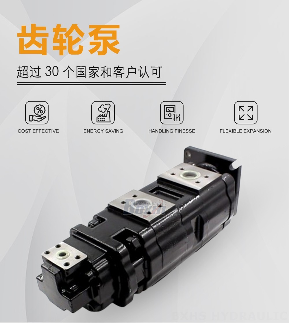 JHP2100-2080-1016 100 毫升/转 20 MPa (2900 psi) 液压齿轮泵