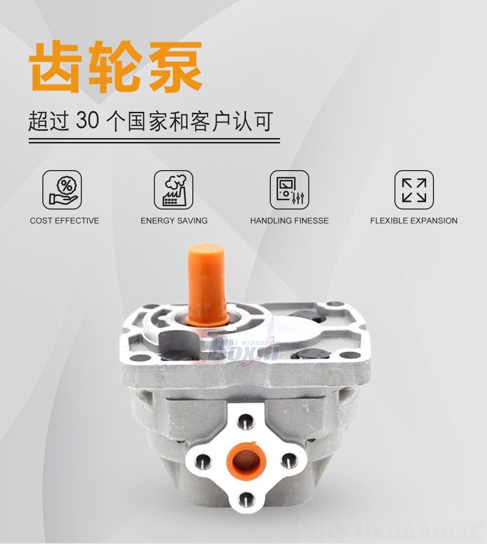NSH10-M 10 毫升/转 16 MPa (2320 psi) 液压齿轮泵