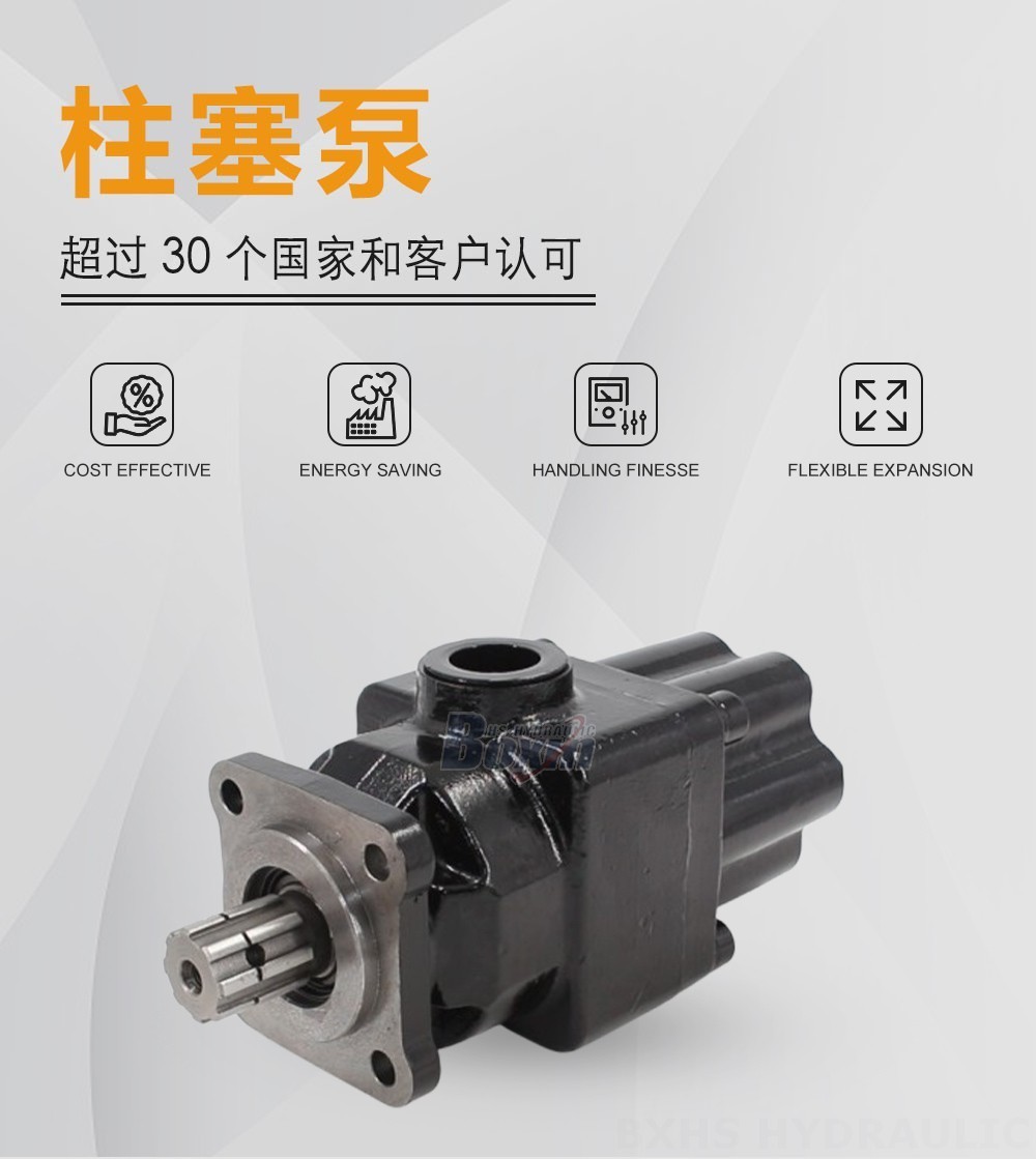 P6-40 40 毫升/转 25 MPa (3625 psi) 液压柱塞泵