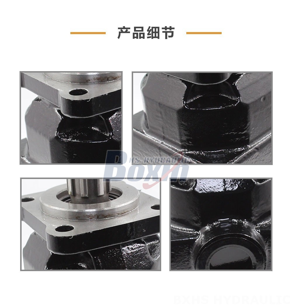 P6-40 40 毫升/转 25 MPa (3625 psi) 液压柱塞泵