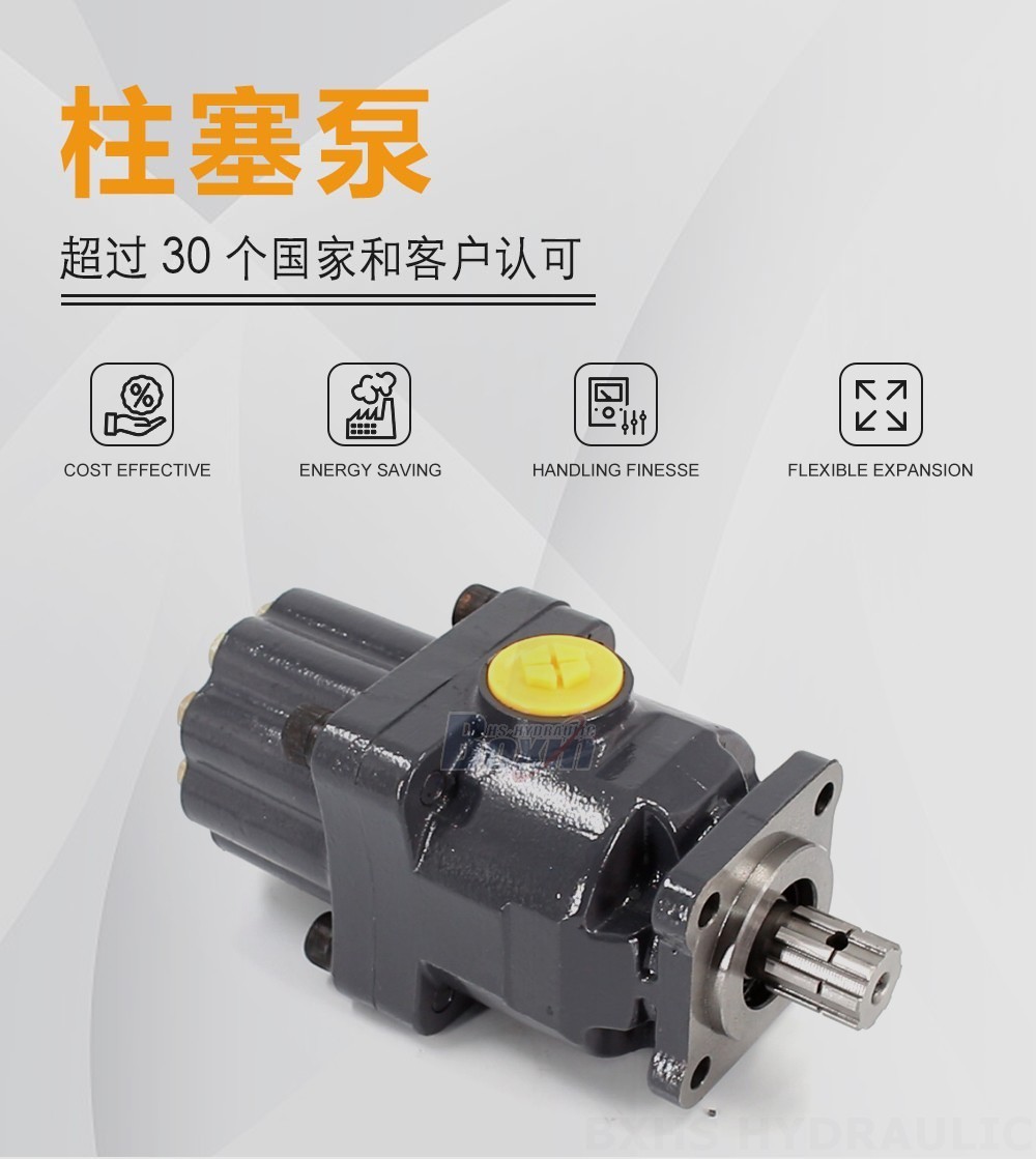 P9-80-H 80 毫升/转 25 MPa (3625 psi) 液压柱塞泵