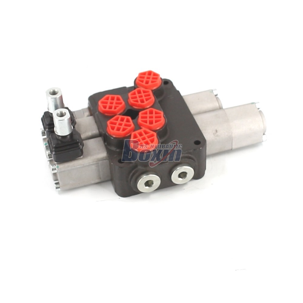 OEM and ODM Services for DCV20 Manual 2 Spool Monoblock Directional Valve Customization main image