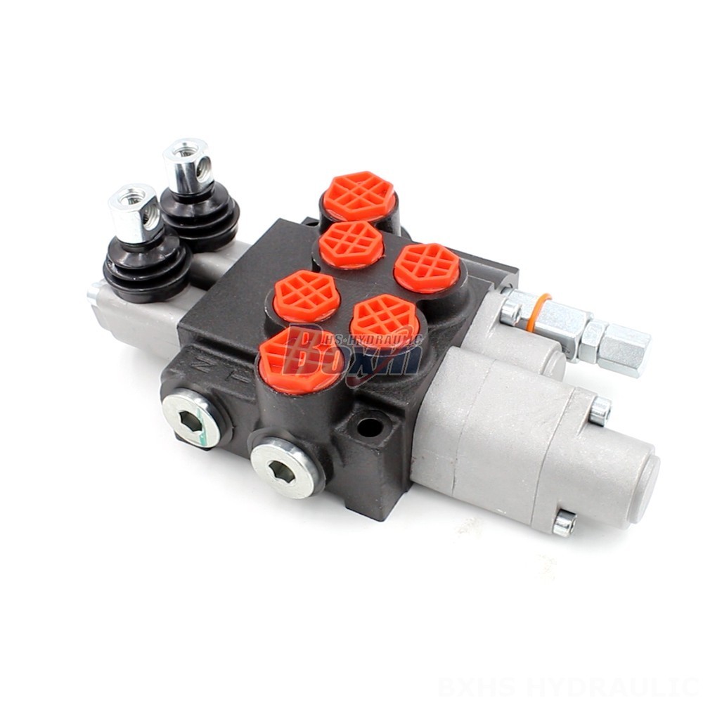 Customized Hydraulic Solutions: P40-AQF-G38-G12 to Fit Your Specifications main image