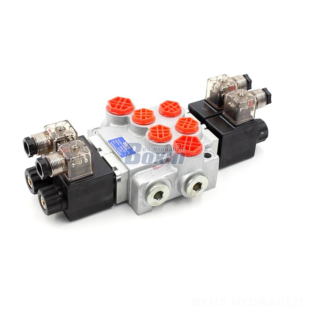 Hydraulic Valve OEM/ODM: P40-DKL Series for Tailored Solutions cover photo