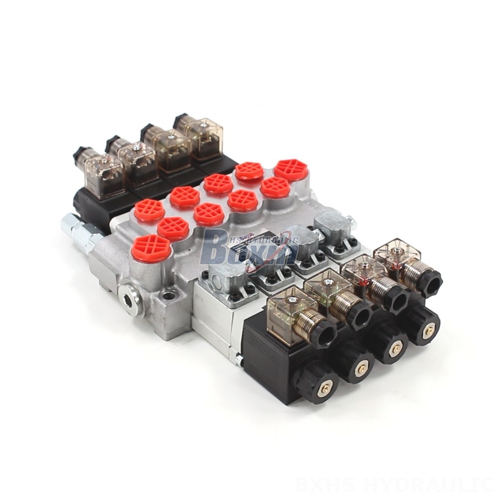 Partner with Us: P40-DS Monoblock Valve Manufacturing & Distribution Opportunities main image