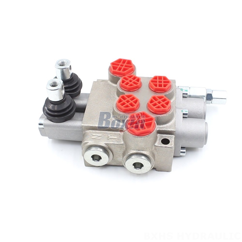 P40-XNHJ Manual 2 Spool Monoblock Directional Valve: OEM & ODM Services Available cover photo