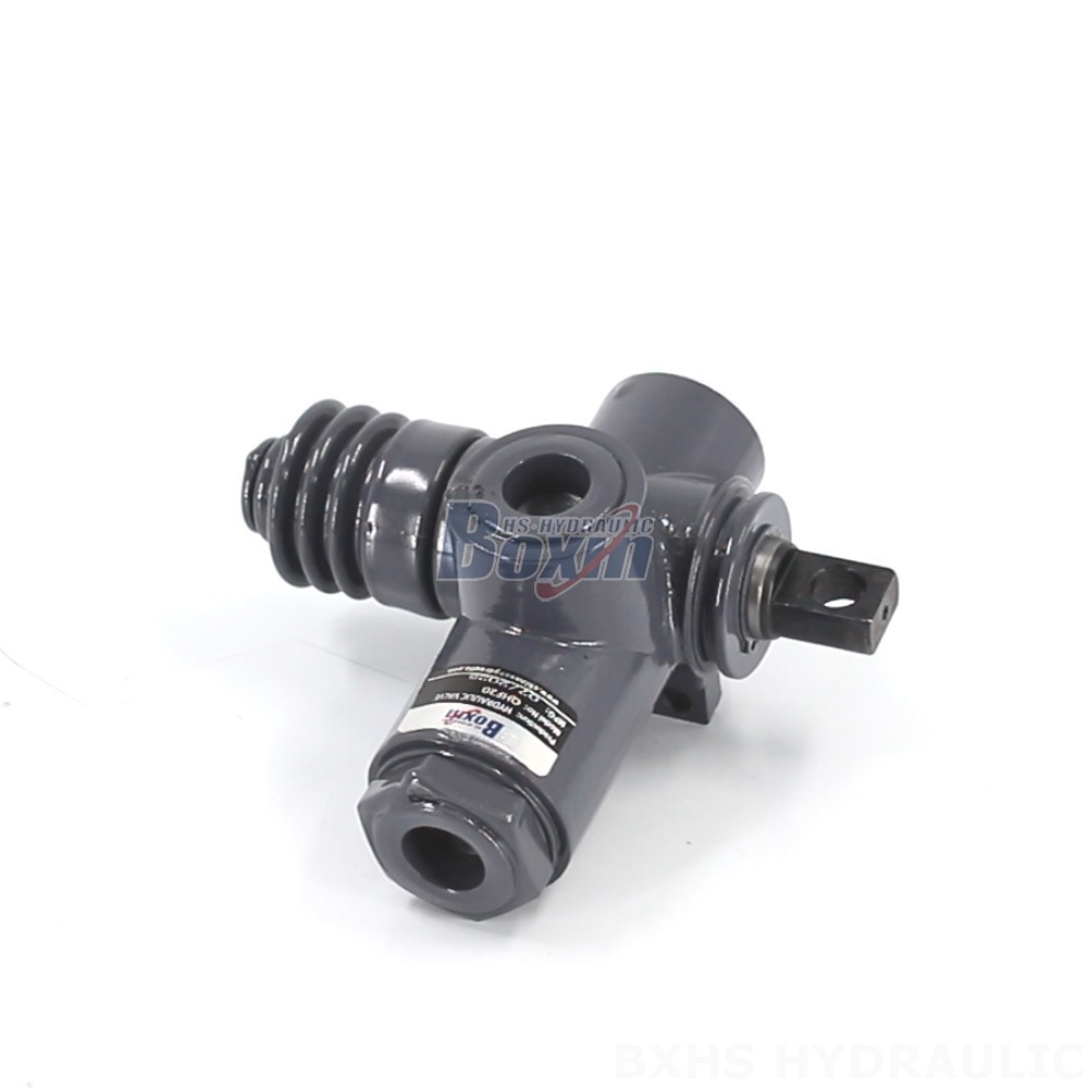 QHF20 Manual 1 Spool Monoblock Directional Valve: OEM, ODM, and Custom Manufacturing Services cover photo