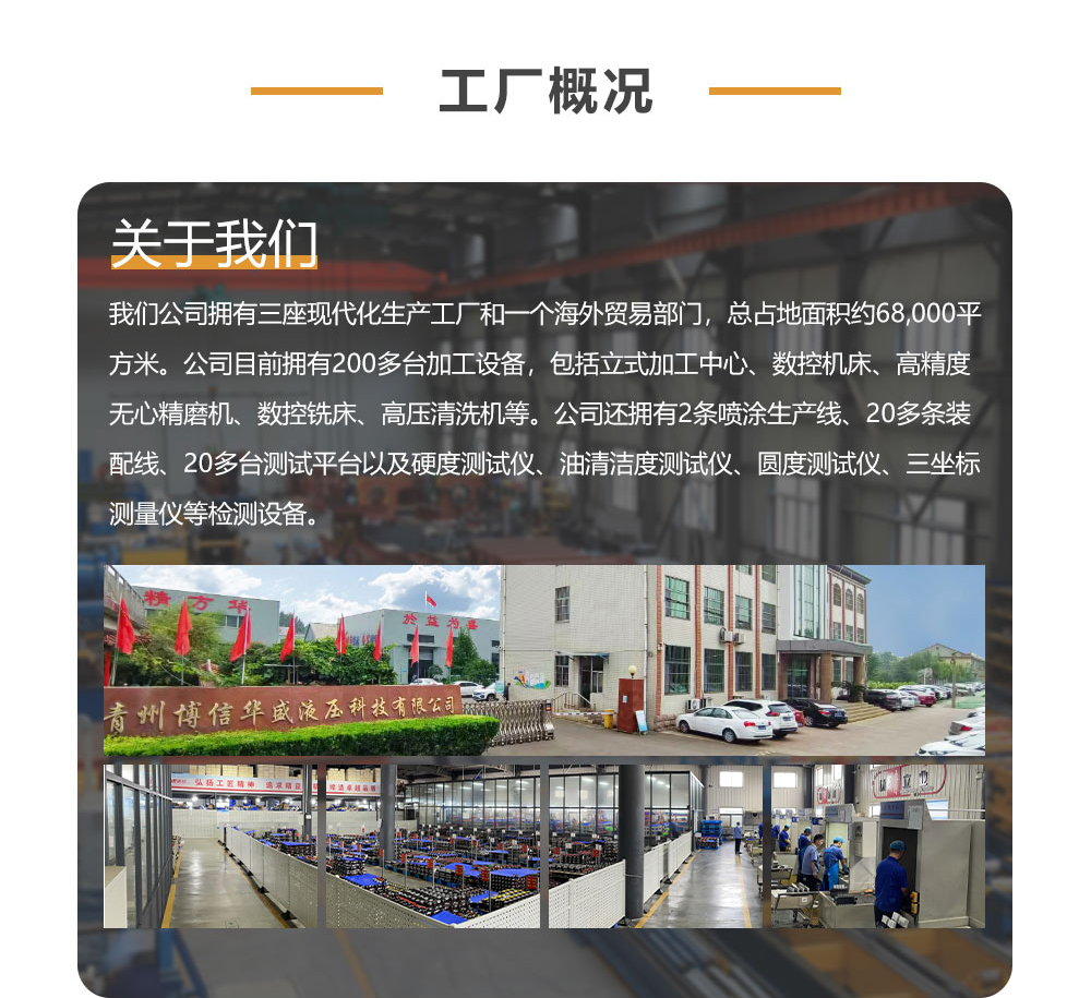 CBHS-FL-314 14 毫升/转 20 MPa (2900 psi) 液压齿轮泵
